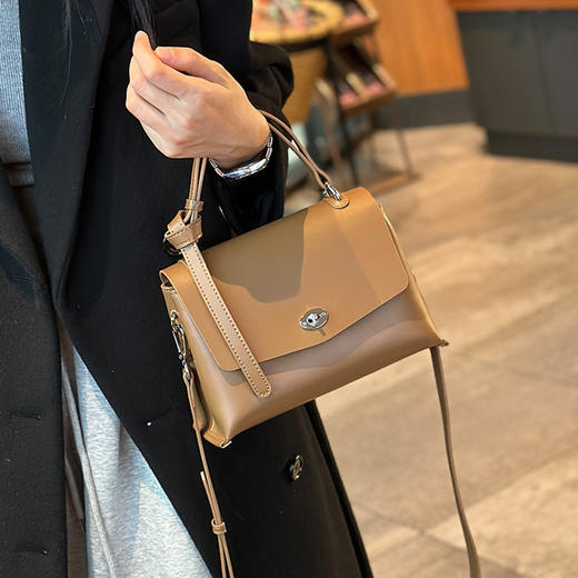 【预售3天】2025夏季新款挎包小众通勤单肩包百搭手提女包8801-D 商品图3