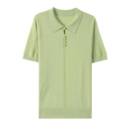 CC-101-1785含桑蚕丝短袖t恤女2025夏季薄款天丝针织衫体恤减龄上衣女 商品图4