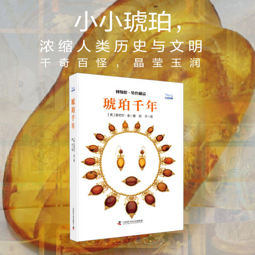 琥珀千年：小小琥珀，浓缩人类历史与文明 商品图0