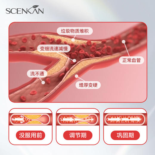【Scenkan】水蛭素 商品图2