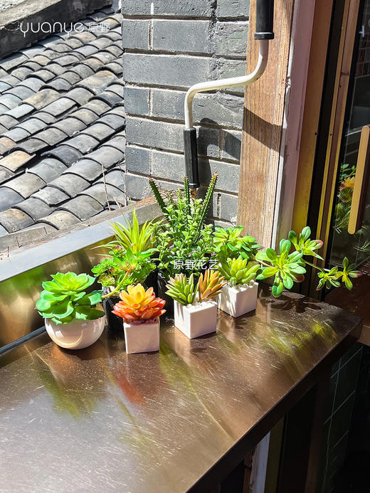 室内外景观设计/花艺沙龙/美容院/休闲娱乐软装门店布置仿真花设计造景（具体价格可咨询商家） 商品图11