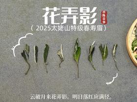 【2025春茶来了】2025一级春寿眉《花弄影》，鲜香到极致、花香到极致，香清气长（4斤收藏装）