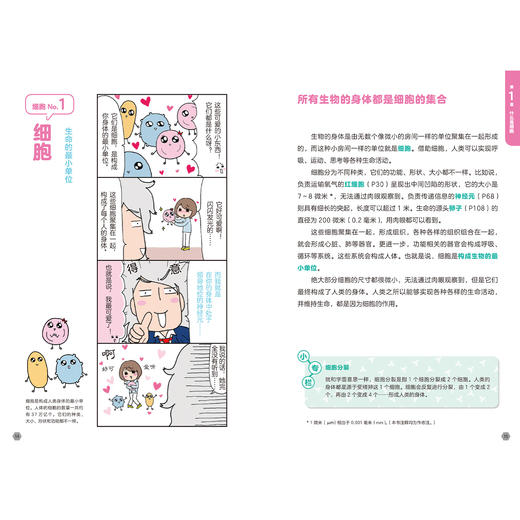 《漫画图解微观世界》(全2册)：《显微镜下的细胞》《显微镜下的微生物》 商品图3