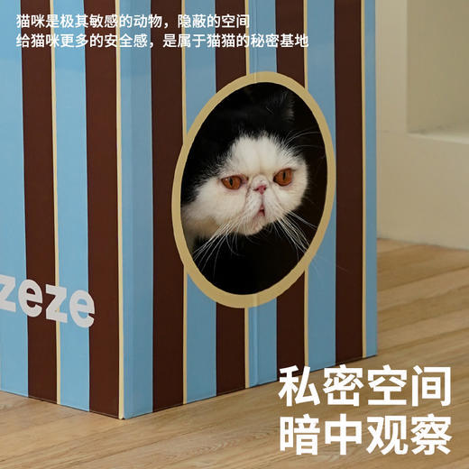 蓝棕条纹房子-B(包邮） 商品图1