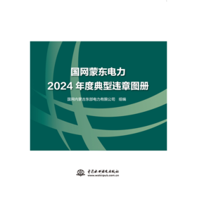 国网蒙东电力2024年度典型违章图册