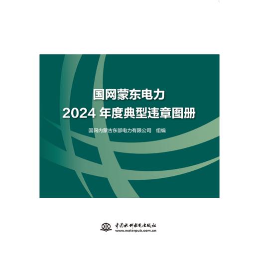 国网蒙东电力2024年度典型违章图册 商品图0