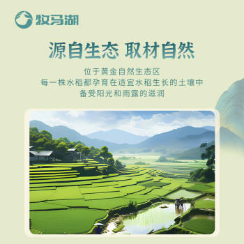 牧马湖玲珑猫牙米长粒大米5kg南方一级优质丝苗米10斤装2025年当季新米 /粮油调味 /米 /丝苗米 商品图1