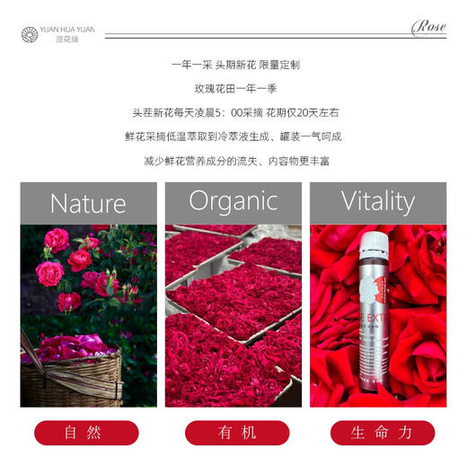高原玫瑰花冷粹液雪山玫瑰冷萃液0卡无糖 商品图4