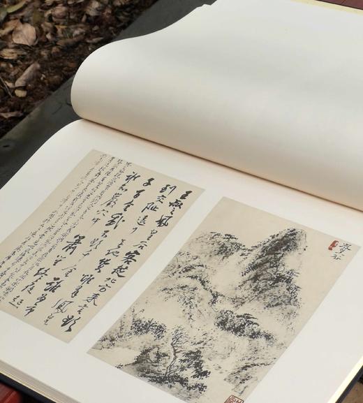 特别推荐：《石涛书画集》，全6册，4开巨册，布面锁线精装，香港开发（Cafa）股份有限公司1969年出版，售价3480元。 商品图7