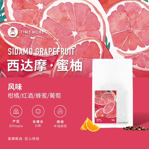 泰摩咖啡埃塞俄比亚西达摩蜜柚咖啡豆手冲咖啡G1日晒单品咖啡100g 商品图0