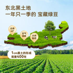 京东京造鲜来多大粒有机绿豆 1.3kg大粒4.0mm可发芽可打豆浆无铁豆易煮糯 /粮油调味 /杂粮 /杂豆类