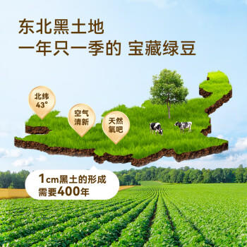 京东京造鲜来多大粒有机绿豆 1.3kg大粒4.0mm可发芽可打豆浆无铁豆易煮糯 /粮油调味 /杂粮 /杂豆类 商品图0