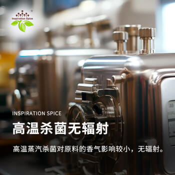 饮食派INSPIRATION SPICE洋葱盐73g（圆柱玻璃瓶）香辛调味料 腌渍肉类 去腥提鲜 /粮油调味 /调味品 /复合调味料 商品图1