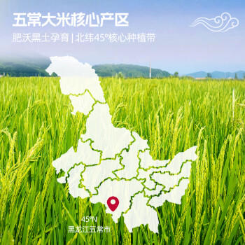 百梁桥五常大米10斤 东北大米5kg 长粒粳米真空2025年新米 热门商品 /粮油调味 /米 /稻花香米 商品图3