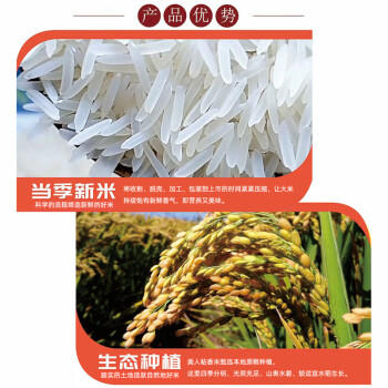 黄小惠美人粘香米5KG 当季新米 软香丝苗米晚稻籼米猫牙米10斤 煲仔饭米 /粮油调味 /米 /丝苗米 商品图1