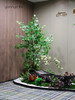 仿真花艺造景/假花造景/家居会所商业楼/生态景观场景布置/店铺绿植造景（具体价格咨询商家） 商品缩略图4