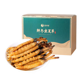 [火热销售中] 国坤堂2025年新鲜冬虫夏草礼盒