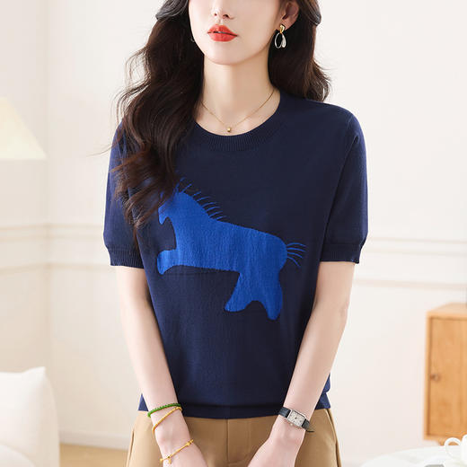 CC-66-2522时髦洋气女士小衫2025新款夏季冰丝短袖上衣宽松短款百搭针织t恤 商品图1