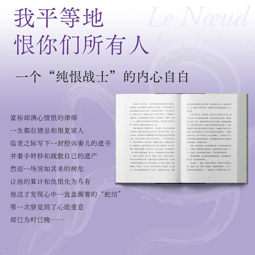 蛇结（诺奖得主浸透人性毒液的惊世之作，法国文学殿堂级心理剖析范本） 商品图2