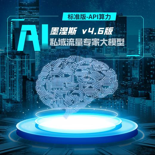 【标准版】墨涅斯 v4.6版-私域专家大模型-API算力100万tokens 商品图0