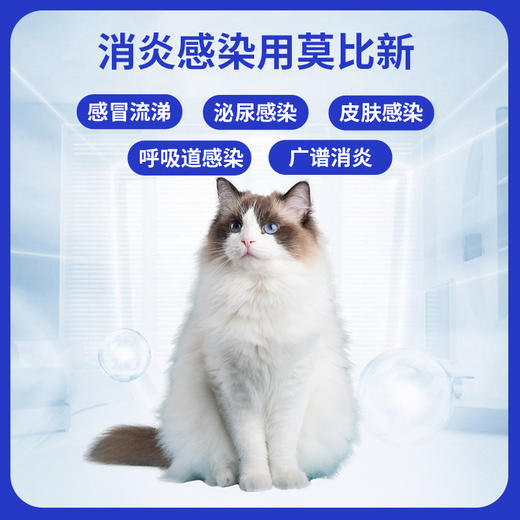 汉维宠仕莫比新宠物猫狗阿莫西林头孢皮肤病消炎药 商品图1