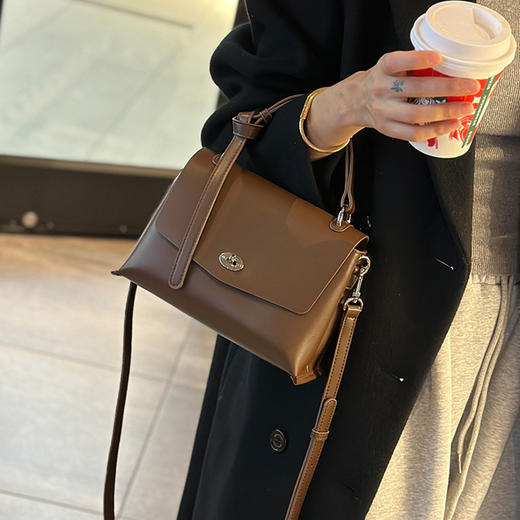 【预售3天】2025夏季新款挎包小众通勤单肩包百搭手提女包8801-D 商品图2