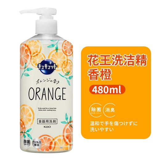 新升级！增量版花王按压式洗洁精480ml 浓缩护手厨房餐具碗去油污除菌洗涤剂 商品图9