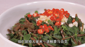 10道美味赶跑湿气菜—椒香马齿苋
