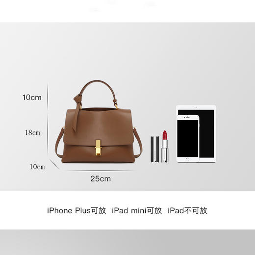 【预售3天】2025夏季新款女包潮小众设计百搭斜挎包手提包单肩包时尚7952-D 商品图1