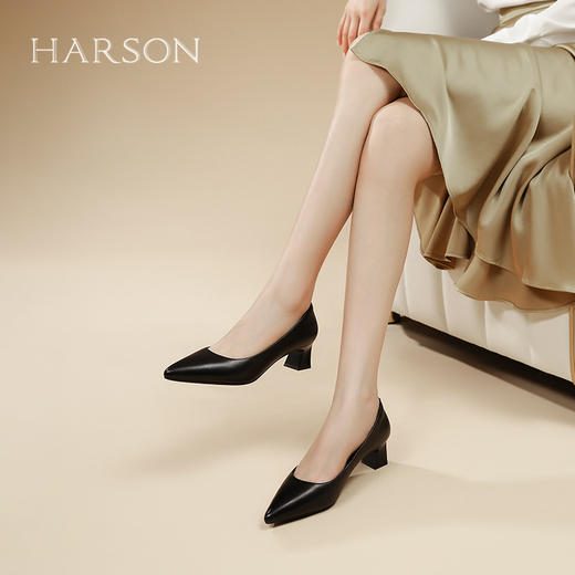 HARSON哈森25春季新品女鞋法式粗跟尖头浅口单鞋HS257119 商品图0