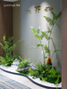 仿真花艺造景/假花造景/家居会所商业楼/生态景观场景布置/店铺绿植造景（具体价格咨询商家） 商品缩略图9