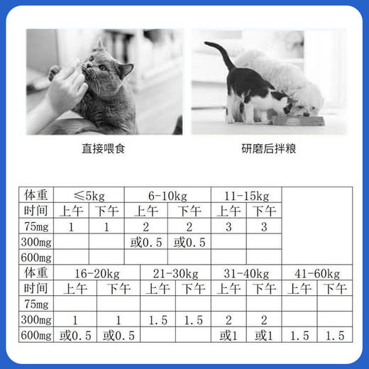 汉维宠仕宠立维宠物鼻支感冒宠物头孢氨芐片消炎药 商品图1