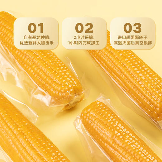 燕之坊有机黄糯玉米礼盒 1.9kg 商品图3