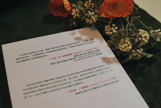 万千心理·动机式访谈实务应用：处理常见的临床挑战 商品图8