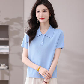 CC-101-31802时尚天丝翻领短袖t恤女2025新款夏季薄款莱赛尔显瘦减龄针织上衣
