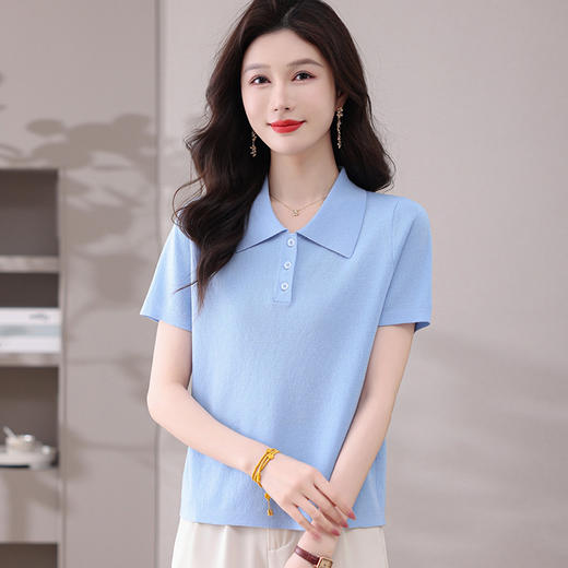 CC-101-31802时尚天丝翻领短袖t恤女2025新款夏季薄款莱赛尔显瘦减龄针织上衣 商品图0