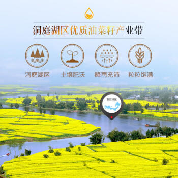 道道全菜籽油 食用油 一级菜籽油 物理压榨非转基因 4L*1桶 /粮油调味 /食用油 /菜籽油 商品图4