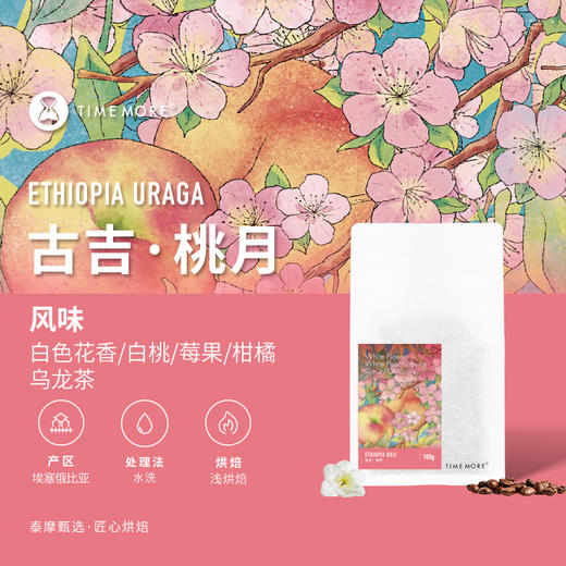 泰摩咖啡埃塞俄比亚古吉桃月咖啡豆耶加雪菲浅烘焙手冲咖啡100g 商品图0