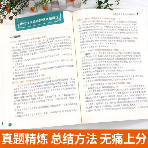 初中文学知识大全【知识点汇总】+【训练手册】（2册） 商品图3