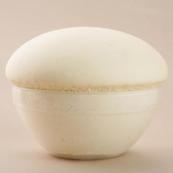 安琪酵母21袋组合 高活性干酵母粉5g*20袋+6g1袋低糖型包子馒头发酵粉 /粮油调味 /烘焙原料 /酵母/发酵粉 商品图2