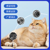 汉维宠仕莫比新宠物猫狗阿莫西林头孢皮肤病消炎药 商品缩略图2