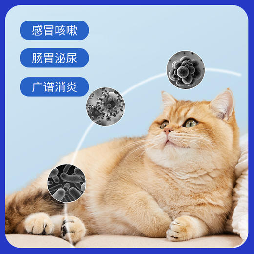 汉维宠仕莫比新宠物猫狗阿莫西林头孢皮肤病消炎药 商品图2