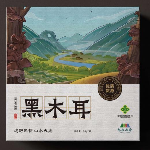 520惊喜大礼包八 商品图0