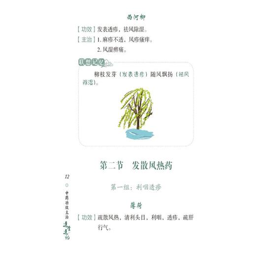 中药功效主治速查速记 商品图1