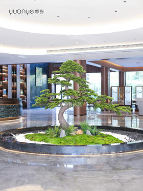 仿真花艺造景/假花造景/家居会所商业楼/生态景观场景布置/店铺绿植造景（具体价格咨询商家）