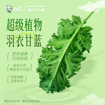 白象 非油炸面 植物饱藏羽衣甘蓝轻轻面110g*6盒 轻食面 整箱装 /粮油调味 /方便食品 /方便面 商品图1