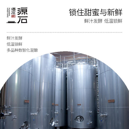 石黛·桃红半干葡萄酒 商品图2