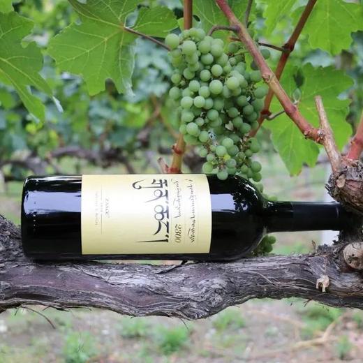 【2025.05.16 北京门票  CBD Ticket】扎西酒庄酿酒师亲临，用海拔2500米的阳光，酿出时间的味道！ 商品图0