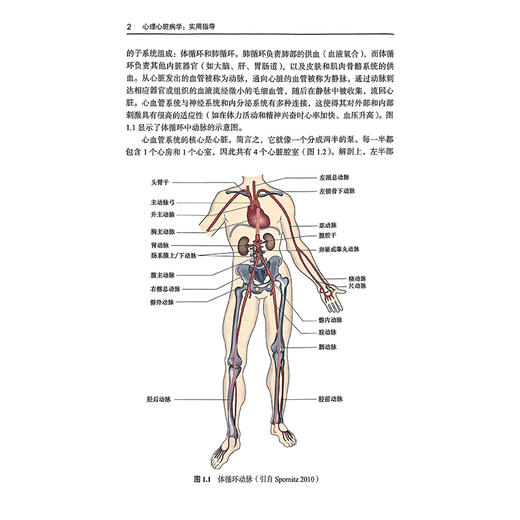 心理心脏病学：实用指导 第3三版 张睿智 汪友平 梁燕 主译 心脏病的主要特点 心理心脏病学中的伦理问题 北京大学医学出版社 商品图4