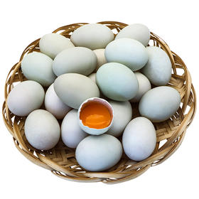 有机海鸭蛋（鲜蛋）70g*20枚 礼盒装
